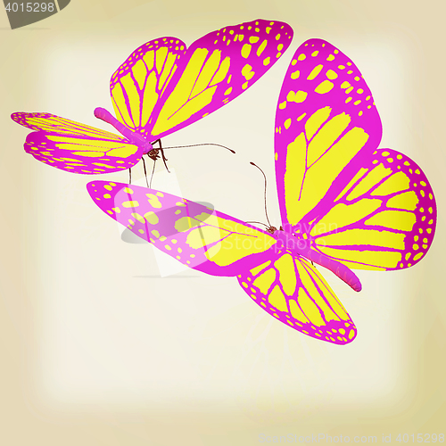 Image of beauty butterflies. 3D illustration. Vintage style.