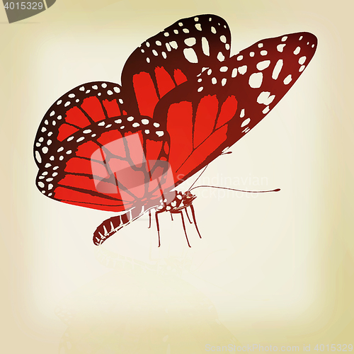 Image of beauty butterfly. 3D illustration. Vintage style.