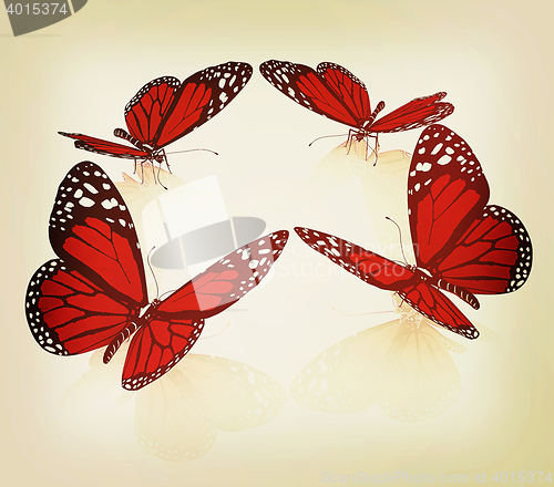Image of beauty butterflies. 3D illustration. Vintage style.