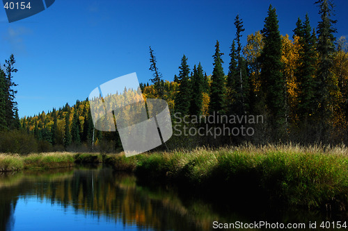 Image of Perfect fishing spot