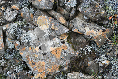 Image of rocky ground