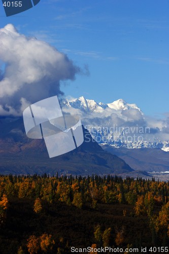 Image of Denali