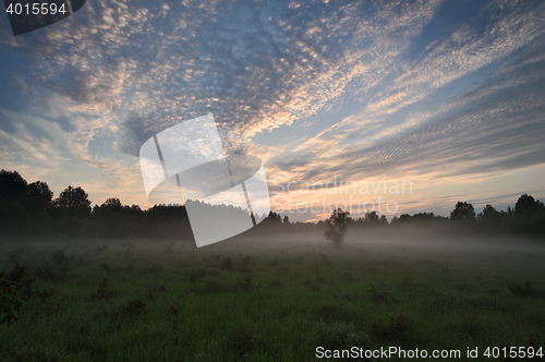 Image of Misty summer night. Estonia.