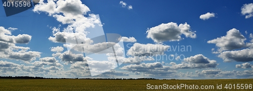 Image of field on a background of the blue sky