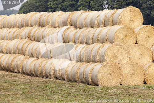 Image of stack of wheat straw