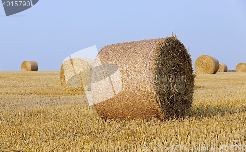 Image of stack of straw in the field