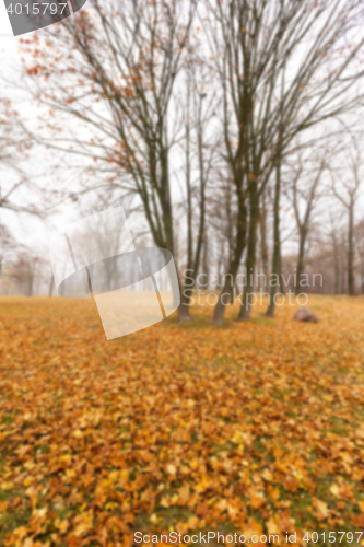 Image of Autumn Park, overcast