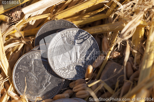 Image of coin in the straw