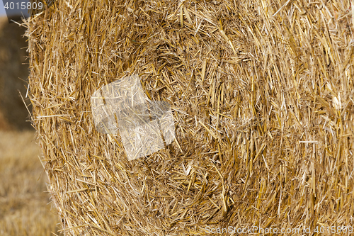 Image of background stack of straw