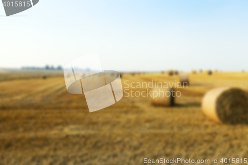 Image of stack of straw in the field