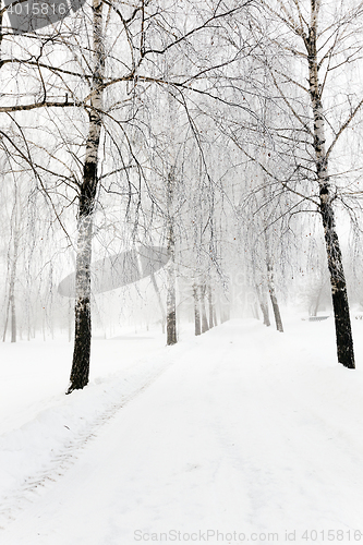 Image of path in the snow