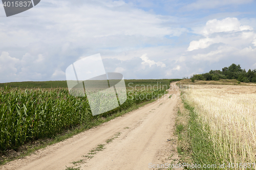 Image of Field with corn