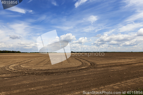 Image of empty agricultural field