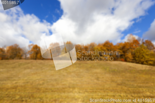 Image of autumn foliage, defocus