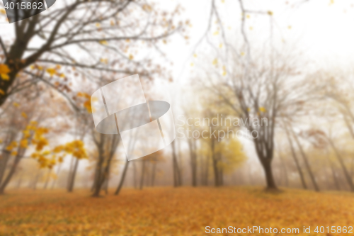 Image of Autumn Park, overcast