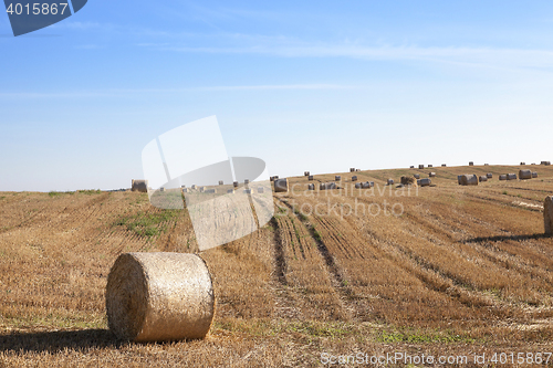 Image of haystacks in a field of straw