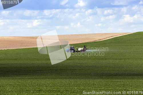 Image of Processing of cereal