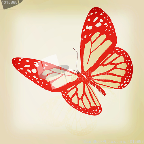 Image of beauty butterfly. 3D illustration. Vintage style.