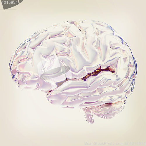 Image of Human brain. 3D illustration. Vintage style.