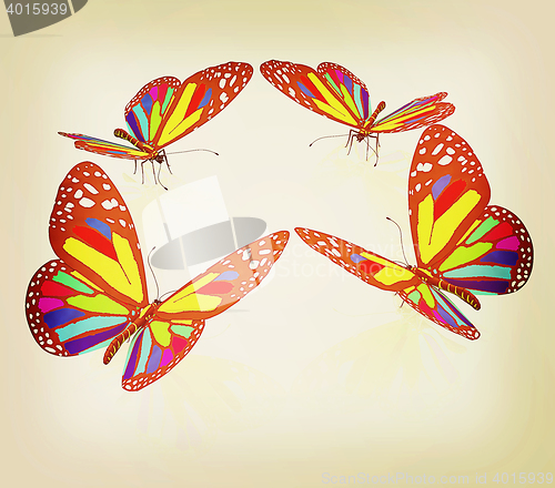 Image of beauty butterflies. 3D illustration. Vintage style.