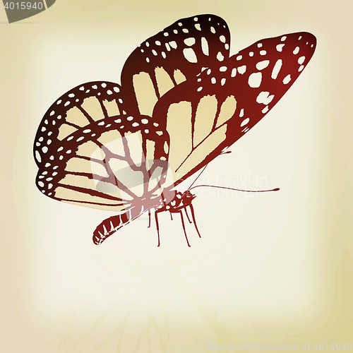 Image of Black and white beautiful butterfly. High quality rendering. 3D 