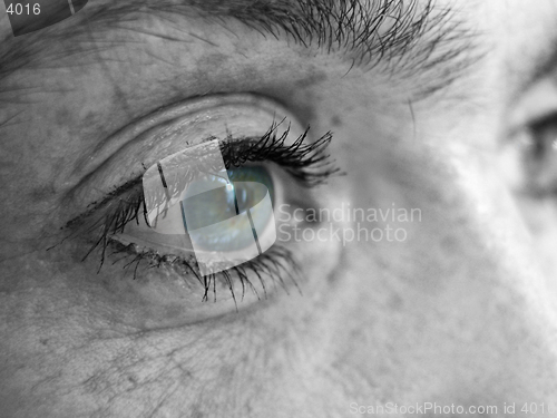 Image of Girls eye