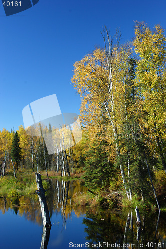 Image of Calm fall day