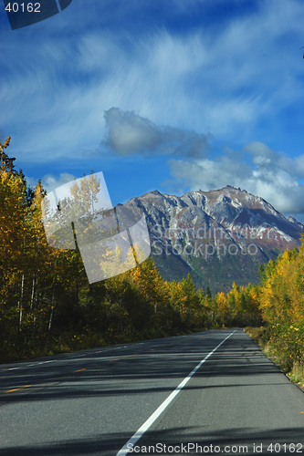 Image of Road to nowhere
