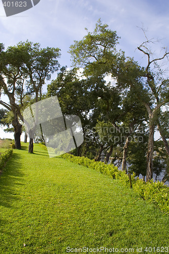 Image of The park