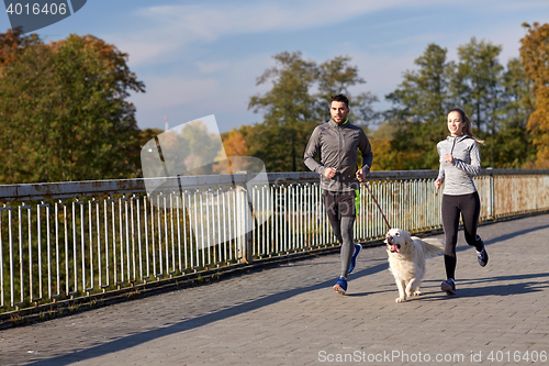 Image of happy couple with dog running outdoors