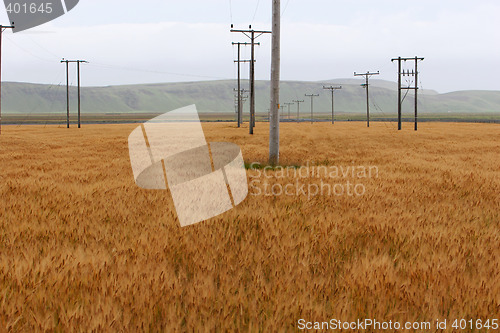 Image of electric pole field