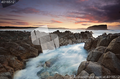 Image of Stack Island Minnmurra