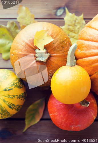 Image of close up of pumpkins on wooden table at home