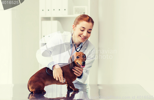 Image of doctor with stethoscope and dog at vet clinic