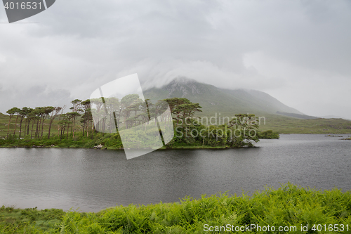 Image of view to island in lake or river at ireland