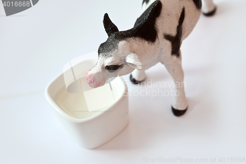 Image of Miniature cow