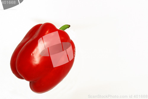 Image of Red Pepper