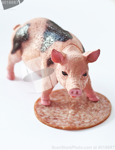 Image of Miniature Pig with a slice of saussage