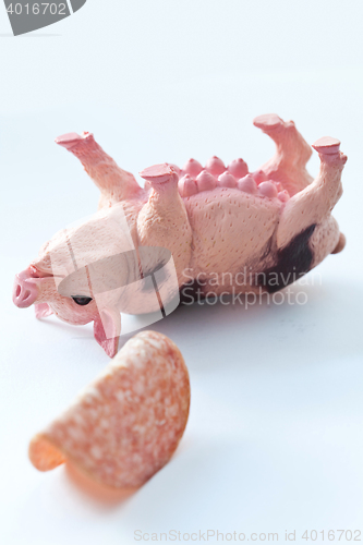 Image of Miniature Pig with a slice of saussage