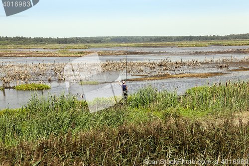 Image of moorland, summer time