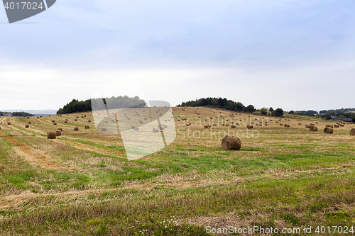 Image of stack of straw in the field