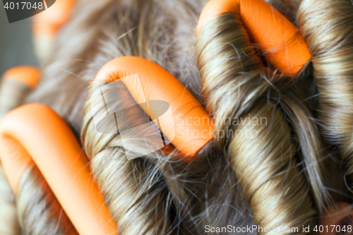 Image of curlers in her hair