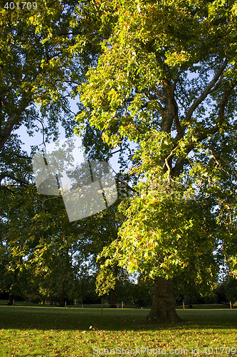 Image of London Parks