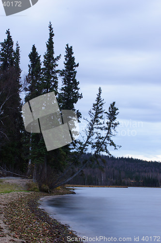 Image of Falling