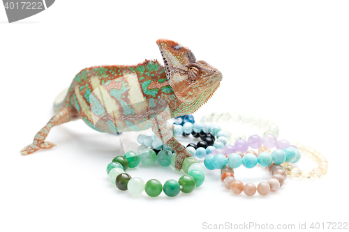 Image of Beautiful chameleon with natural stone bracelets