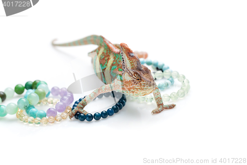 Image of Beautiful chameleon with natural stone bracelets