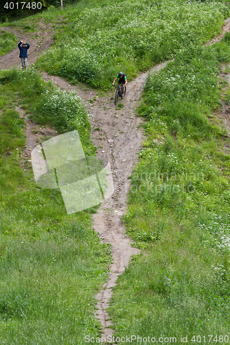 Image of Man running in a Forest