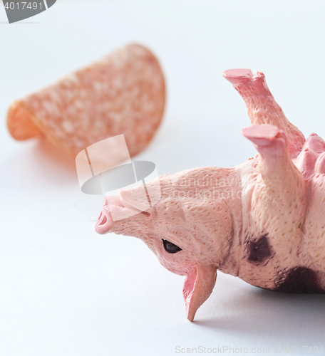 Image of Miniature Pig with a slice of saussage