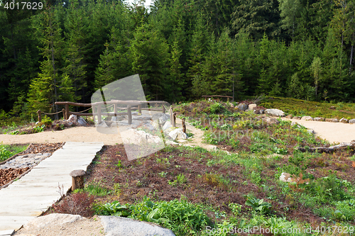 Image of rest area near Lookout tower U Jakuba, Czech Republic