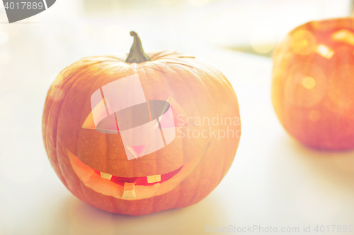 Image of close up of pumpkins on table